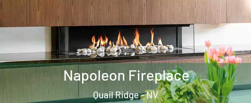 Napoleon Fireplace Quail Ridge - NV