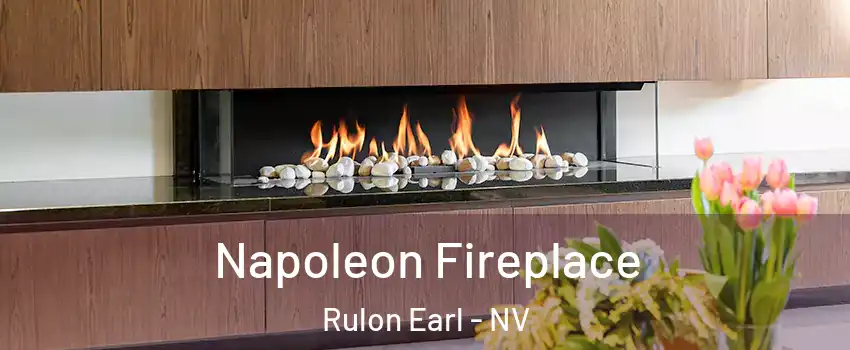 Napoleon Fireplace Rulon Earl - NV