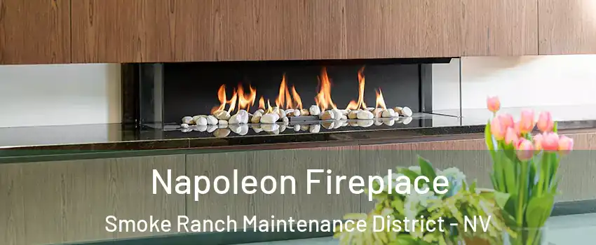 Napoleon Fireplace Smoke Ranch Maintenance District - NV