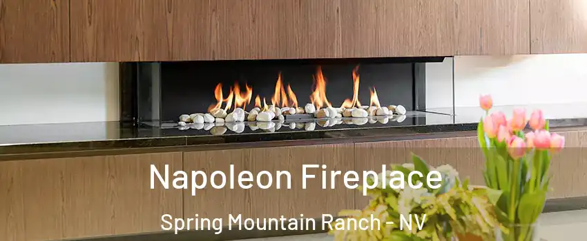 Napoleon Fireplace Spring Mountain Ranch - NV