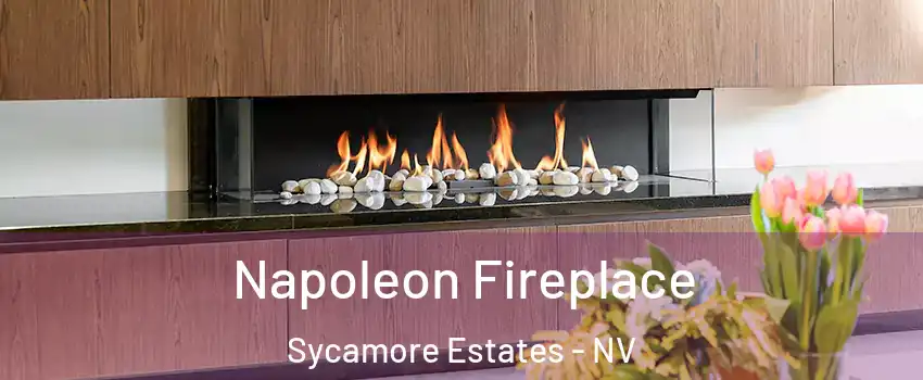 Napoleon Fireplace Sycamore Estates - NV