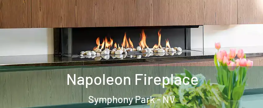 Napoleon Fireplace Symphony Park - NV