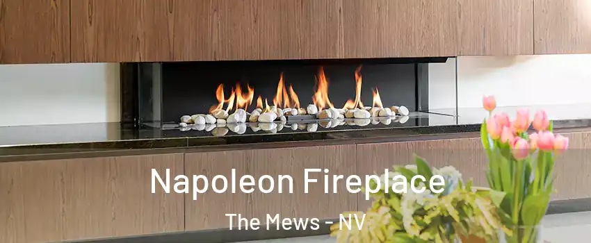 Napoleon Fireplace The Mews - NV