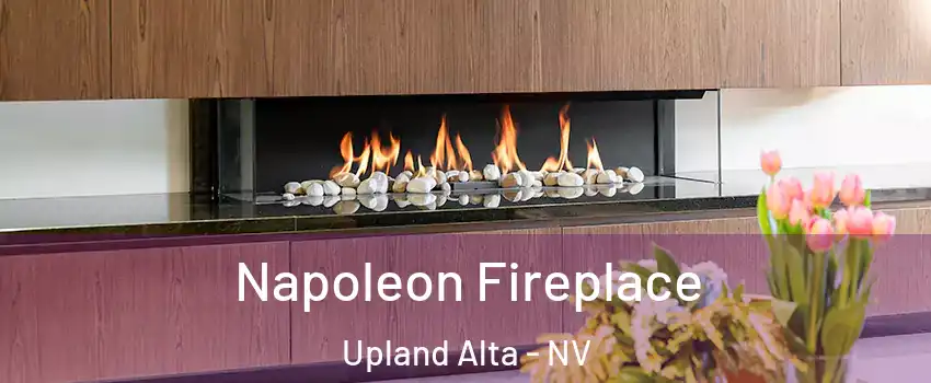 Napoleon Fireplace Upland Alta - NV