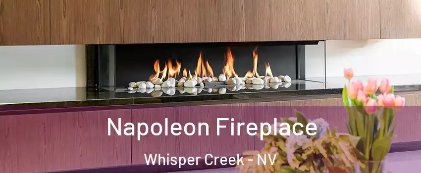 Napoleon Fireplace Whisper Creek - NV