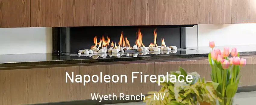 Napoleon Fireplace Wyeth Ranch - NV