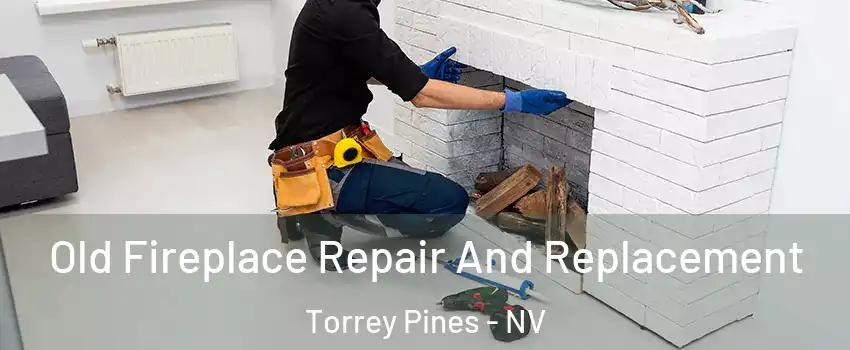 Old Fireplace Repair And Replacement Torrey Pines - NV
