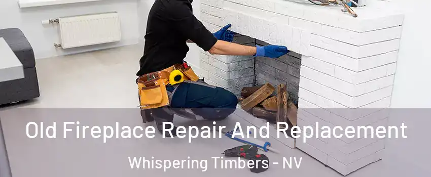 Old Fireplace Repair And Replacement Whispering Timbers - NV