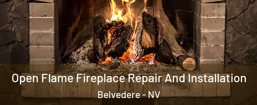Open Flame Fireplace Repair And Installation Belvedere - NV