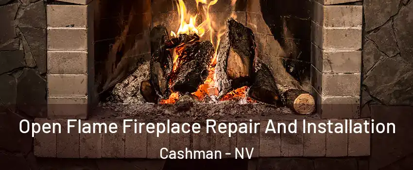 Open Flame Fireplace Repair And Installation Cashman - NV