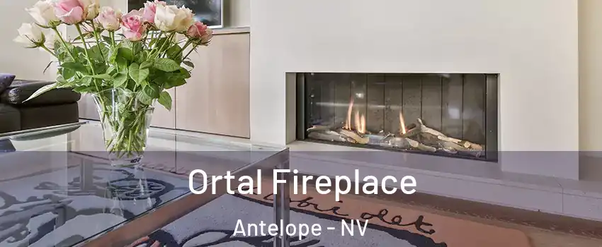 Ortal Fireplace Antelope - NV
