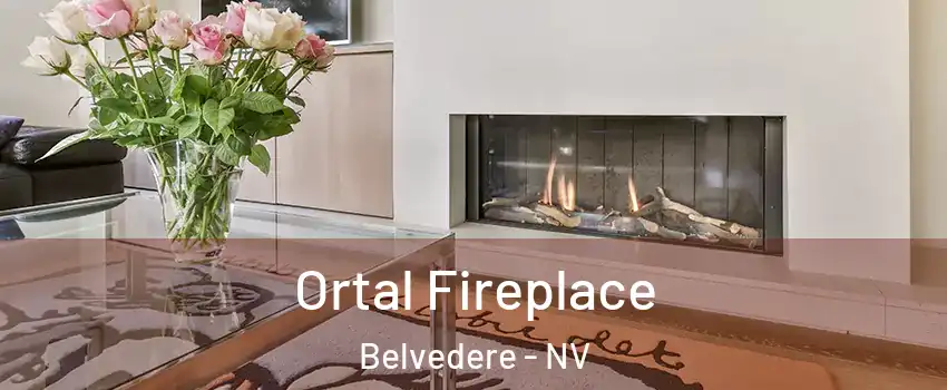 Ortal Fireplace Belvedere - NV