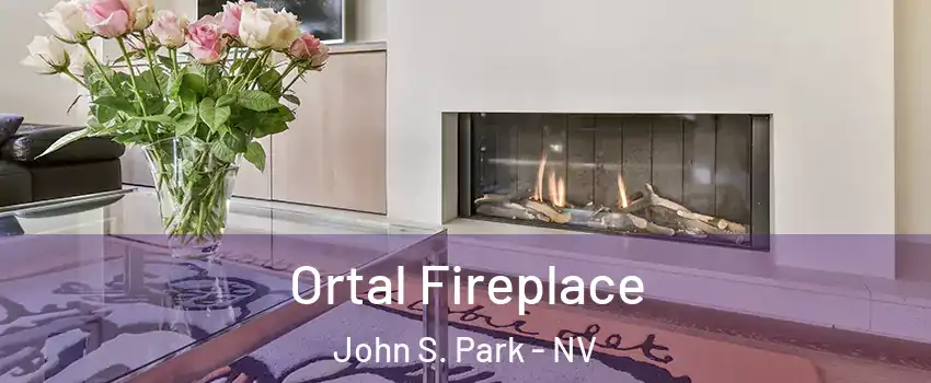 Ortal Fireplace John S. Park - NV