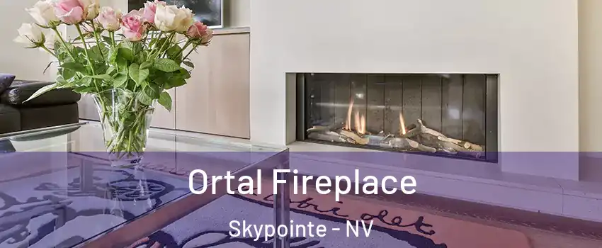 Ortal Fireplace Skypointe - NV
