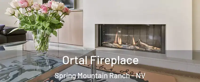 Ortal Fireplace Spring Mountain Ranch - NV