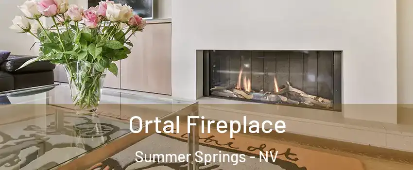 Ortal Fireplace Summer Springs - NV
