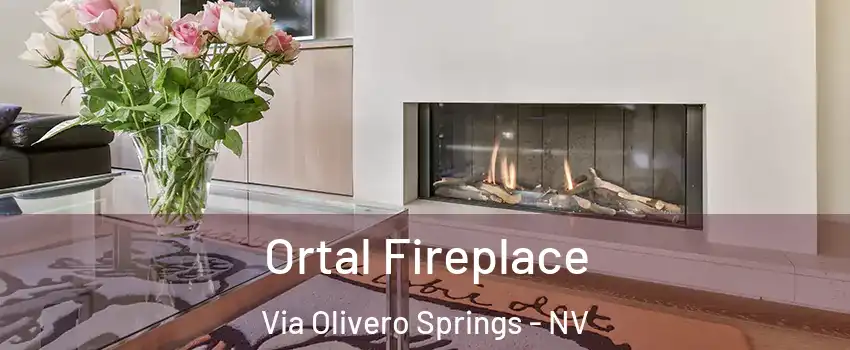 Ortal Fireplace Via Olivero Springs - NV
