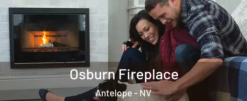Osburn Fireplace Antelope - NV