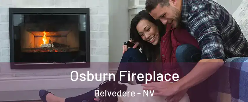 Osburn Fireplace Belvedere - NV