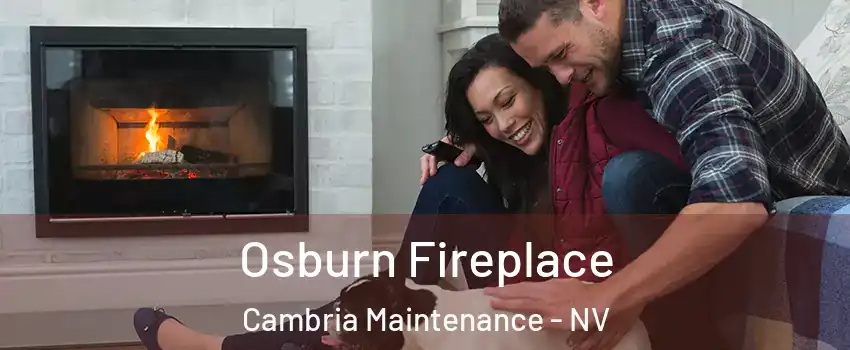 Osburn Fireplace Cambria Maintenance - NV