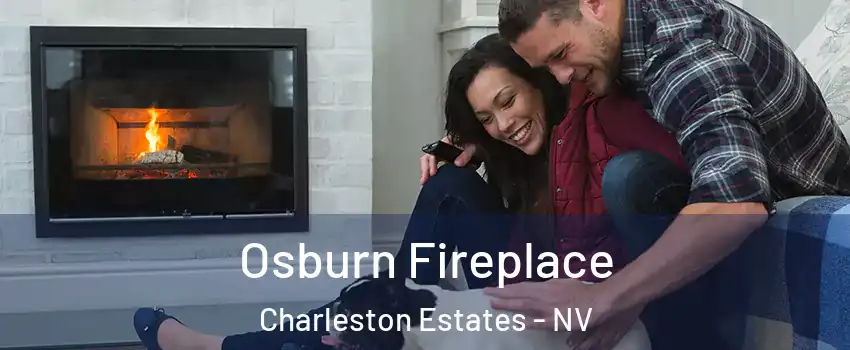 Osburn Fireplace Charleston Estates - NV