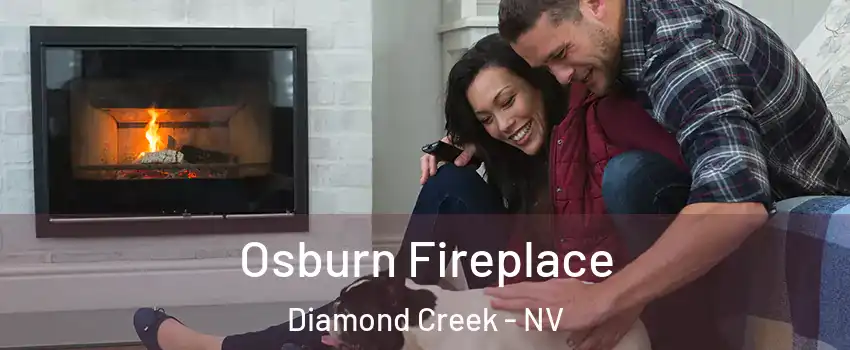 Osburn Fireplace Diamond Creek - NV