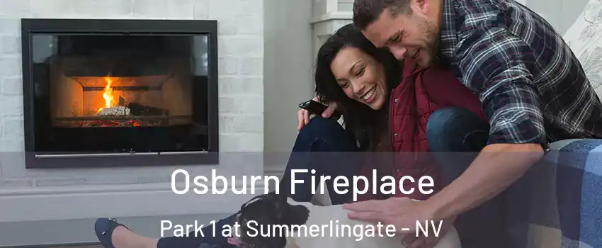 Osburn Fireplace Park 1 at Summerlingate - NV