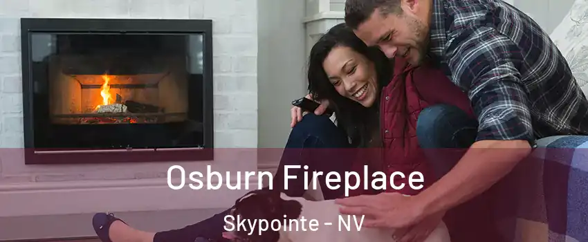 Osburn Fireplace Skypointe - NV