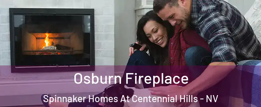 Osburn Fireplace Spinnaker Homes At Centennial Hills - NV