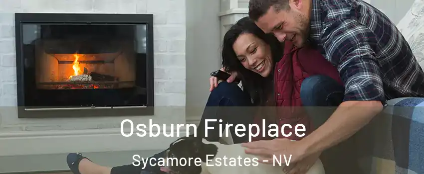 Osburn Fireplace Sycamore Estates - NV