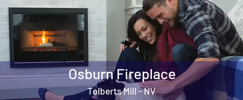 Osburn Fireplace Tolberts Mill - NV