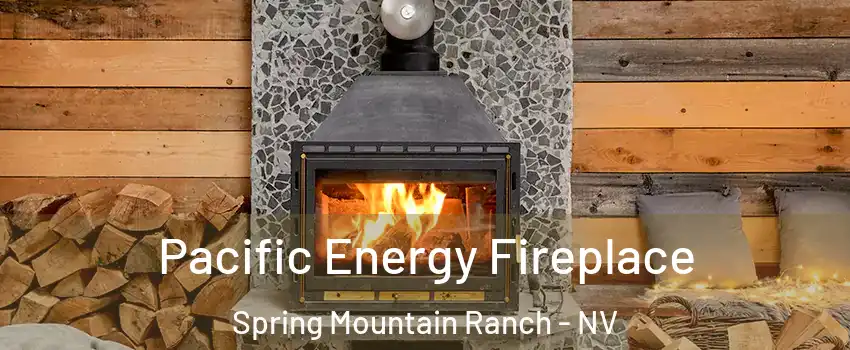 Pacific Energy Fireplace Spring Mountain Ranch - NV