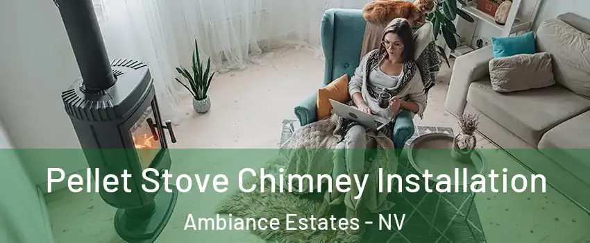 Pellet Stove Chimney Installation Ambiance Estates - NV