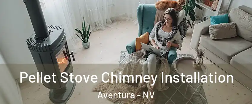Pellet Stove Chimney Installation Aventura - NV
