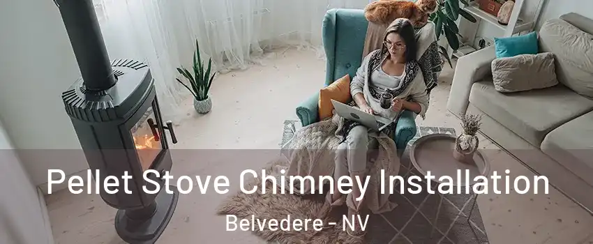 Pellet Stove Chimney Installation Belvedere - NV