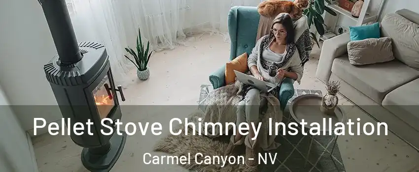 Pellet Stove Chimney Installation Carmel Canyon - NV
