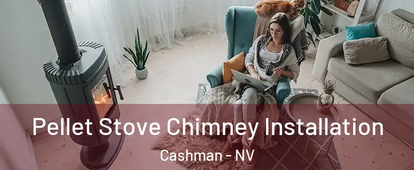 Pellet Stove Chimney Installation Cashman - NV