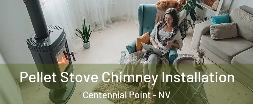 Pellet Stove Chimney Installation Centennial Point - NV