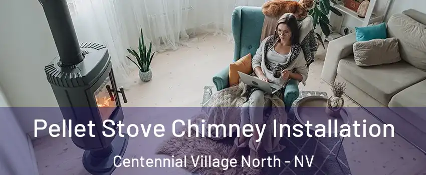 Pellet Stove Chimney Installation Centennial Village North - NV