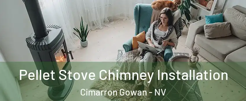 Pellet Stove Chimney Installation Cimarron Gowan - NV