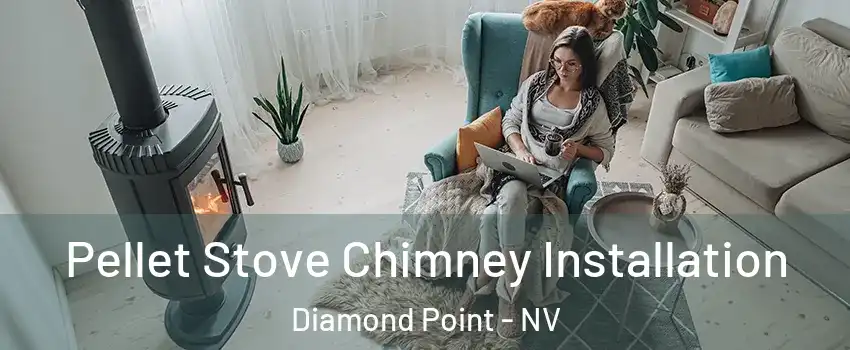 Pellet Stove Chimney Installation Diamond Point - NV