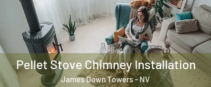 Pellet Stove Chimney Installation James Down Towers - NV