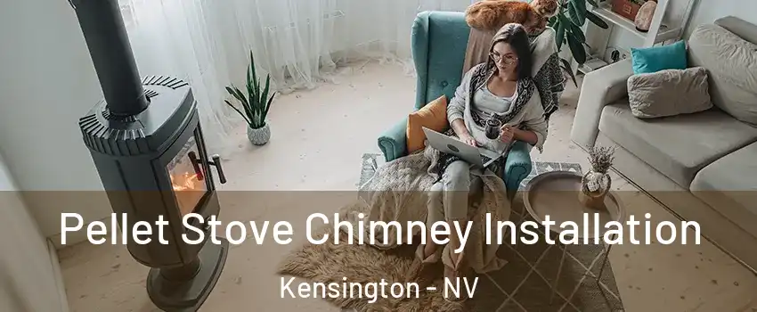 Pellet Stove Chimney Installation Kensington - NV