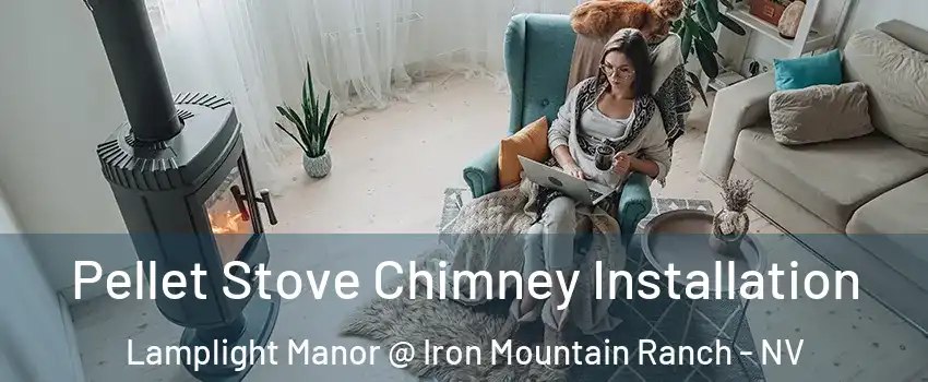 Pellet Stove Chimney Installation Lamplight Manor @ Iron Mountain Ranch - NV