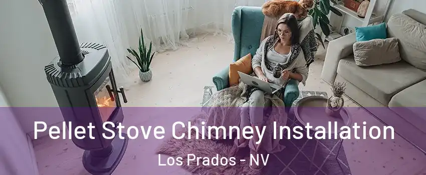 Pellet Stove Chimney Installation Los Prados - NV