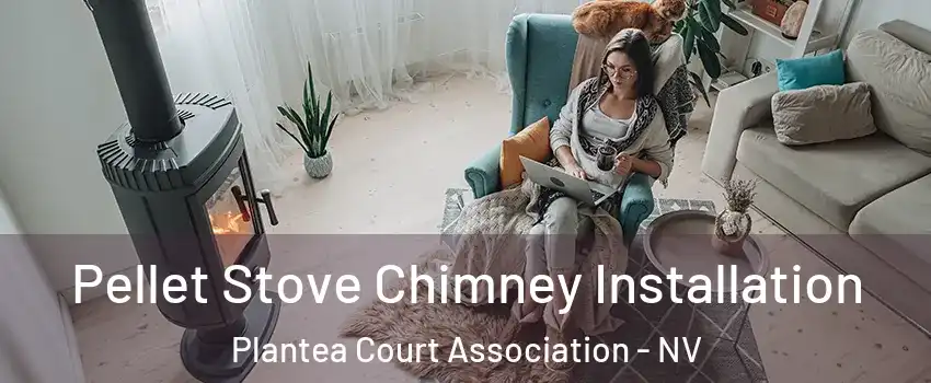 Pellet Stove Chimney Installation Plantea Court Association - NV