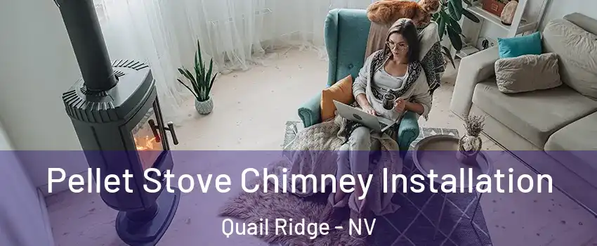 Pellet Stove Chimney Installation Quail Ridge - NV