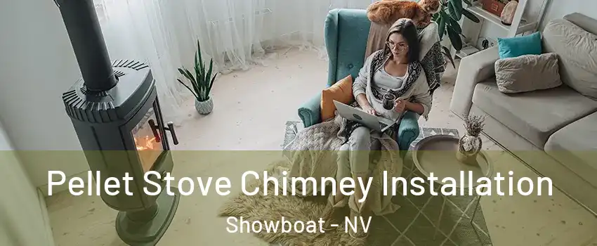 Pellet Stove Chimney Installation Showboat - NV