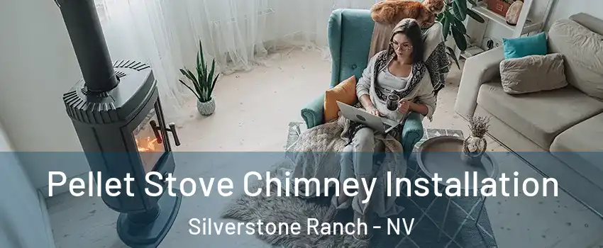 Pellet Stove Chimney Installation Silverstone Ranch - NV