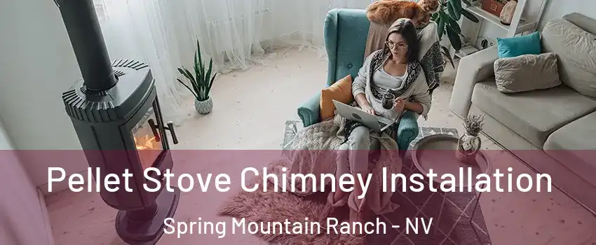 Pellet Stove Chimney Installation Spring Mountain Ranch - NV